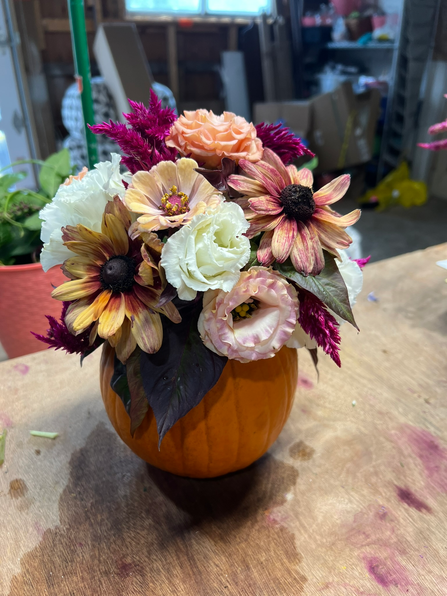 Creek & Forest Farm 2026 Flower CSA