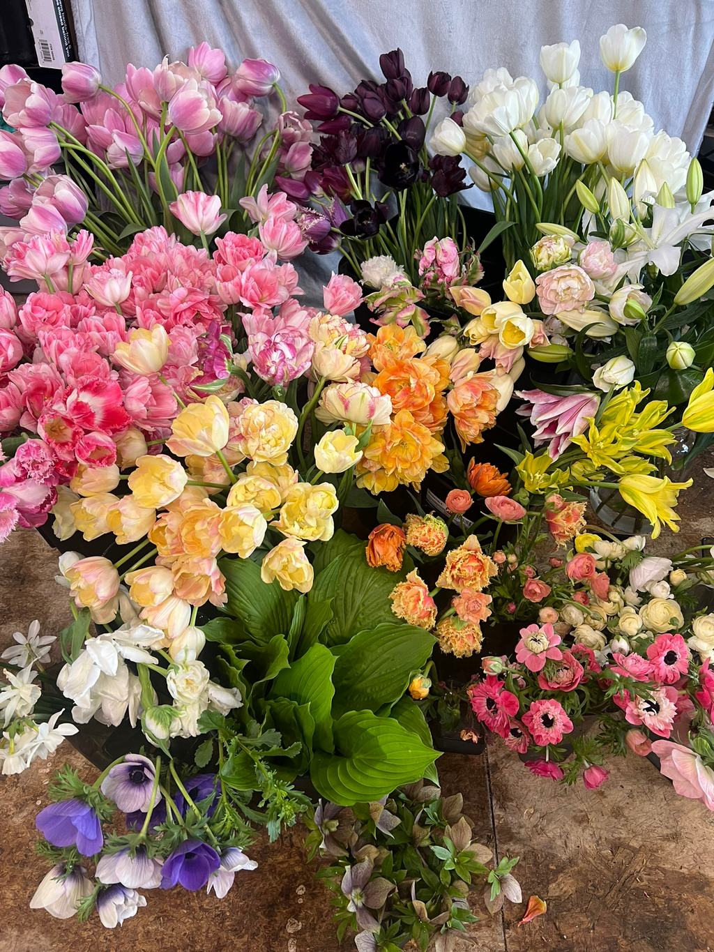 Creek & Forest Farm 2026 Flower CSA