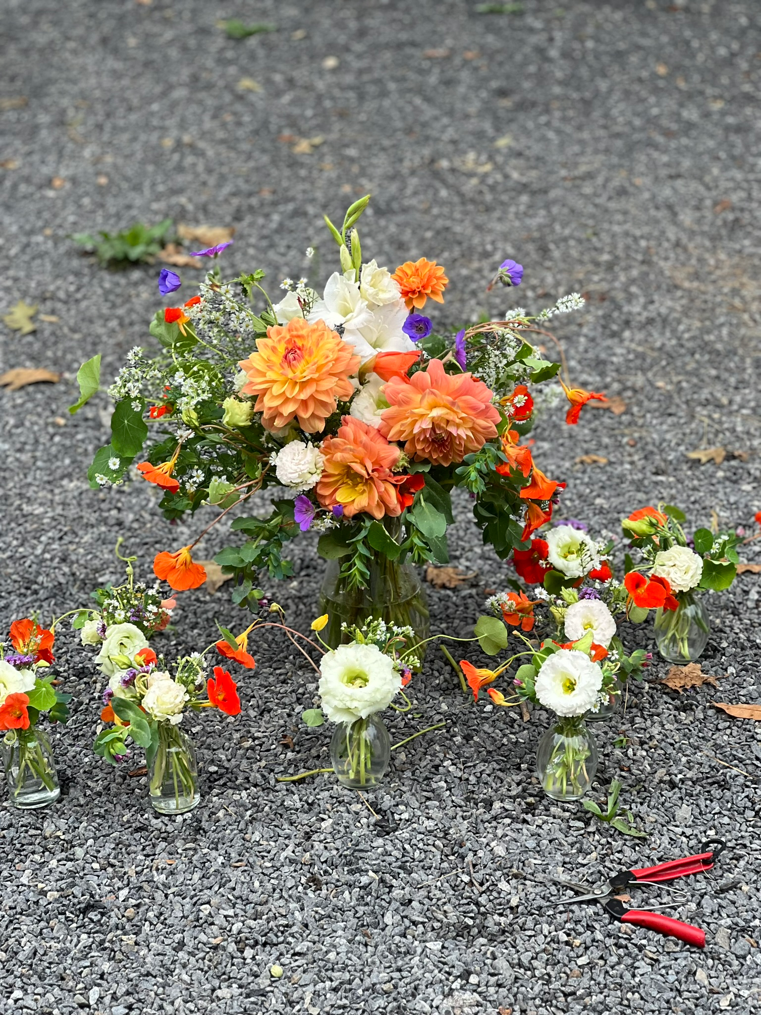 Creek & Forest Farm 2026 Flower CSA