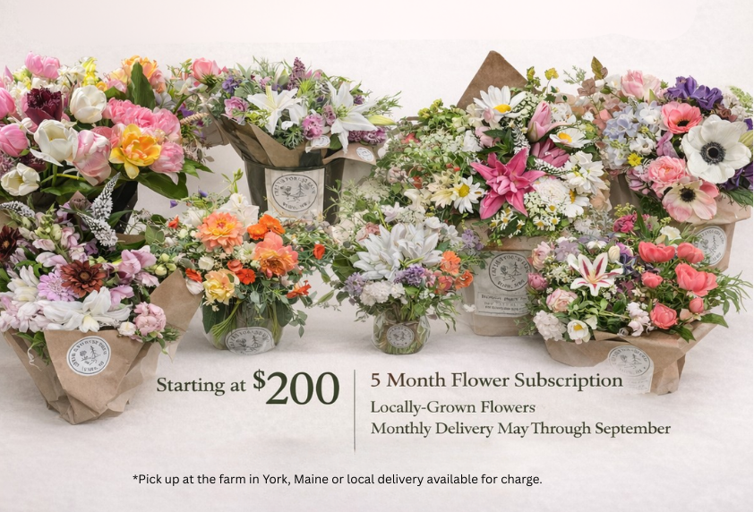 Creek & Forest Farm 2026 Flower CSA-5 Month Peak Season
