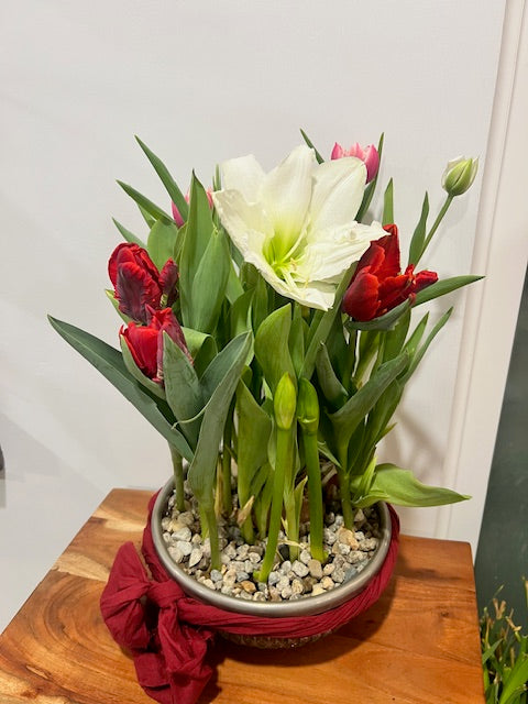 Living Bouquet Bowl — A Celebration of the Season of Love